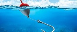 Что делать, если компании не отдают ссылочный профиль Что делать, если компании не отдают ссылочный профиль