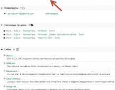 KtoNaNovenkogo.ru в DMOZ