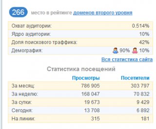 узнать посещаемость по счетчику лайвинтернет