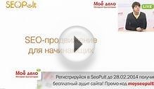2 в 1: SEO-продвижение для начинающих: продвигаем и учитываем