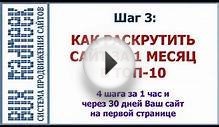 Шаг 3: Как раскрутить сайт? Пошаговая инструкция Radneek