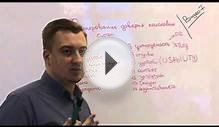 Выпуск 7. Доверие поисковых систем #‎edugusarov