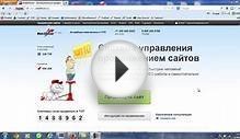 Webeffector выведет сайт в топ