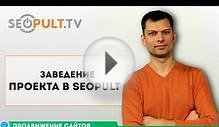 Заведение проекта в Системе SeoPult / Основы продвижения